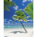 Brewster Home Fashions Brewster Home Fashions 4-883 Ari Atoll Wall Mural - 100 in. 4-883